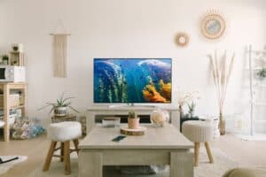 fino tv mount review