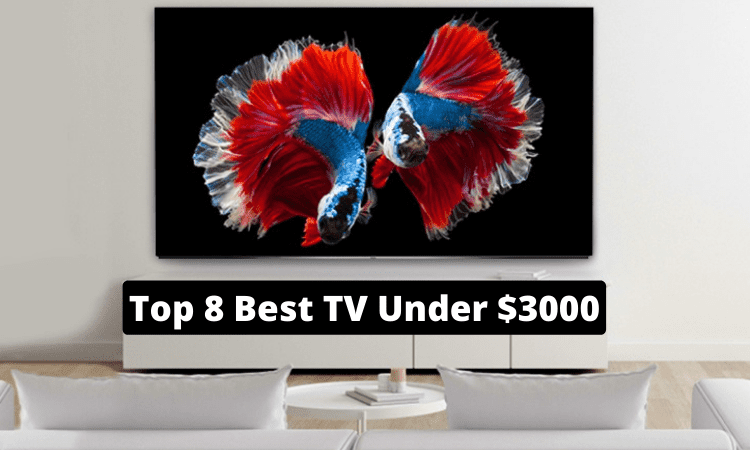 Top 8 Best TV Under $3000 2022